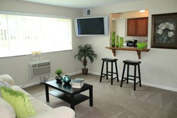 St. Louis apartment for rent - a living room with a couch and a bar and a television