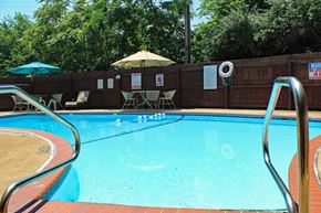 Webster Groves apartment for rent - a swimming pool with umbrellas and chairs around it
