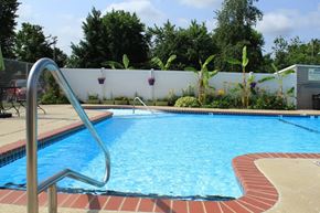 Olivette apartment for rent - a large pool with a fence in the background