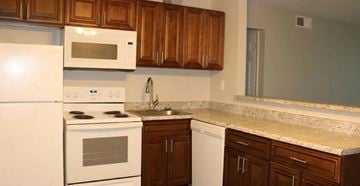 St. Louis apartment for rent - a kitchen with a stove microwave and a sink