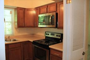 Webster Groves apartment for rent - a kitchen with a stove a sink and a microwave