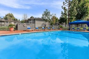 Riverside apartment for rent - the pool at the apartments for rent