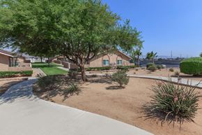 Hesperia apartment for rent - A tree in a yard with a house in the background.