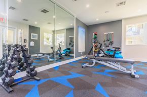 Las Vegas apartment for rent - a gym with weights and mirrors at the district flats apartments in lenexa