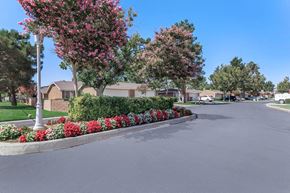 Hesperia apartment for rent - a street with flowers and trees in front of houses