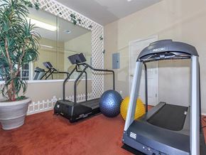 Lompoc apartment for rent - a home gym with treadmills and a large mirror