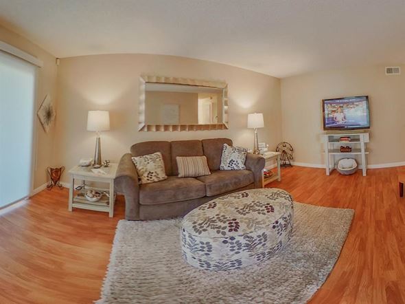 Orange apartment for rent - a living room with a couch and a rug
