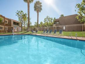 Palm Springs apartment for rent - A large swimming pool surrounded by palm trees and sun loungers.