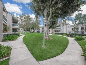 Santa Ana apartment for rent - A tree in a grassy area with a pathway leading to a building.