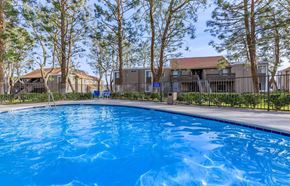 Barstow apartment for rent - A swimming pool surrounded by trees and a building in the background.