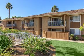 Vista apartment for rent - A sunny day at a row of apartment buildings with green lawns and palm trees.