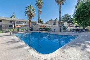 Riverside apartment for rent - a swimming pool with palm trees and apartments in the background