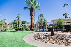 Palm Desert apartment for rent - the preserve at green canyon apartments courtyard with rocks and palm trees