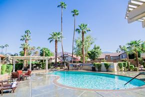 Palm Desert apartment for rent - a swimming pool with palm trees