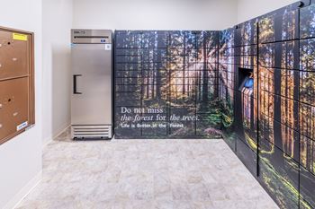 Resident package lockers