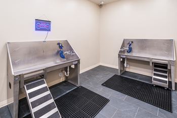 On-site dog park and wash