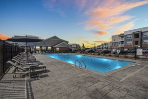 Charlotte apartment for rent - A swimming pool surrounded by lounge chairs and umbrellas at a resort.