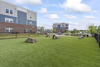 Bark park