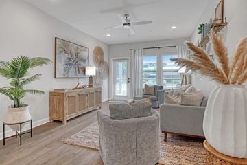 Palm Bay apartment for rent - A living room with a grey couch, a wooden cabinet, a potted plant, and a painting on the wall.