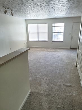 Monticello apartment for rent - Empty living room with two windows at Canterbury House apartments in Monticello, Indiana