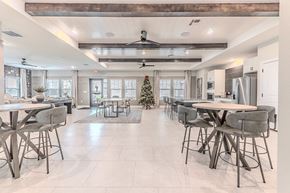 San Marcos apartment for rent - A modern dining room with a Christmas tree in the middle.