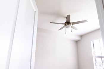 Ceiling fan
