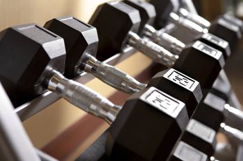 Free weights