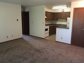 Mitchell apartment for rent - Kitchen and Living Room