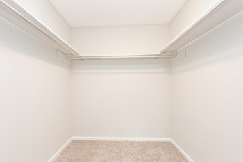 Closet view