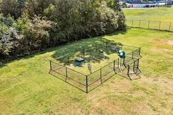 Dog park