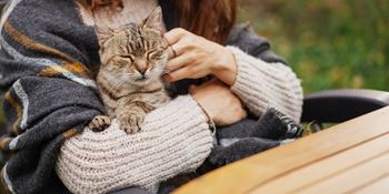 A woman sitting in a chair holding a cat