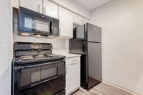 Balch Springs apartment for rent - a kitchen with stainless steel appliances and a refrigerator