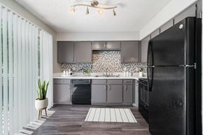 Arlington apartment for rent - a kitchen with a black refrigerator and a sink  at Shadow Ridge, Texas, 76013