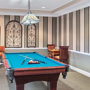Silver Spring apartment for rent - Billiards room