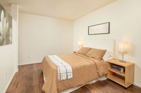 Tucson apartment for rent - A bedroom with a bed, nightstand, and lamp.