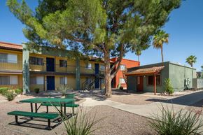 Tucson apartment for rent - A green picnic table is in front of a building with a tree in front of it.