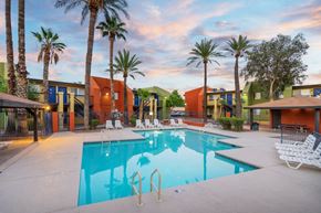 Tucson apartment for rent - A swimming pool surrounded by palm trees and lounge chairs.