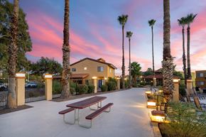 Tucson apartment for rent - A sunset view of a palm tree lined walkway.