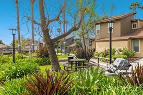 Ventura apartment for rent - A tree in a yard with a picnic table and a grill.