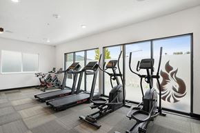 Ogden apartment for rent - the gym has a slew of cardio equipment and large windows