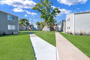 Roy apartment for rent - A tree stands in the middle of a grassy area between two sidewalks.