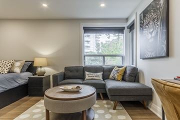 Hamilton apartment for rent - A living room with a grey couch, a bed, a table, and a painting on the wall.