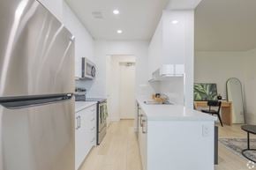Hamilton apartment for rent - Kitchen & Living