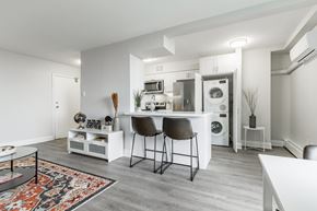 Hamilton apartment for rent - Living & Kitchen