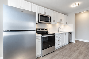 Hamilton apartment for rent - Kitchen Left