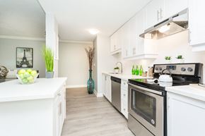 Hamilton apartment for rent - A kitchen with white cabinets and a stainless steel oven.