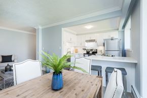 Hamilton apartment for rent - A dining room with a wooden table and a blue vase with a green plant in it.