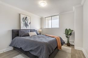 Toronto apartment for rent - A bedroom with a bed, a painting, a potted plant, and a rug.