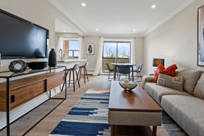 Brampton apartment for rent - A living room with a television, couch, and a rug.