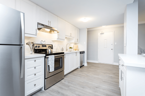 Hamilton apartment for rent - Kitchen